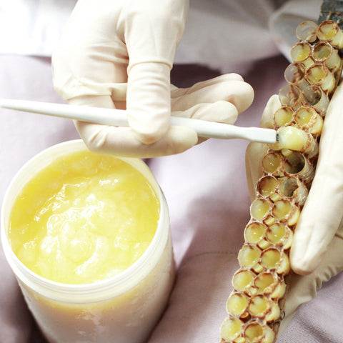 Fresh Royal Jelly 5 oz Jar (142 grams of Pure Royal Jelly)