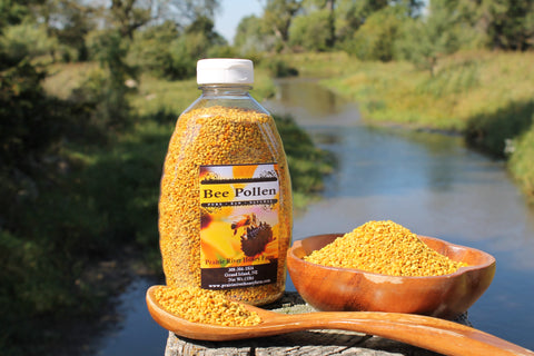 Fresh Bee Pollen Pure Raw Natural Nebraska Bee Pollen 1lb Jar