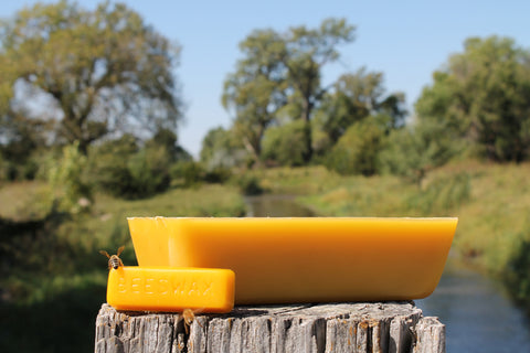 Pure Nebraska Beeswax (Six) 1 oz Blocks