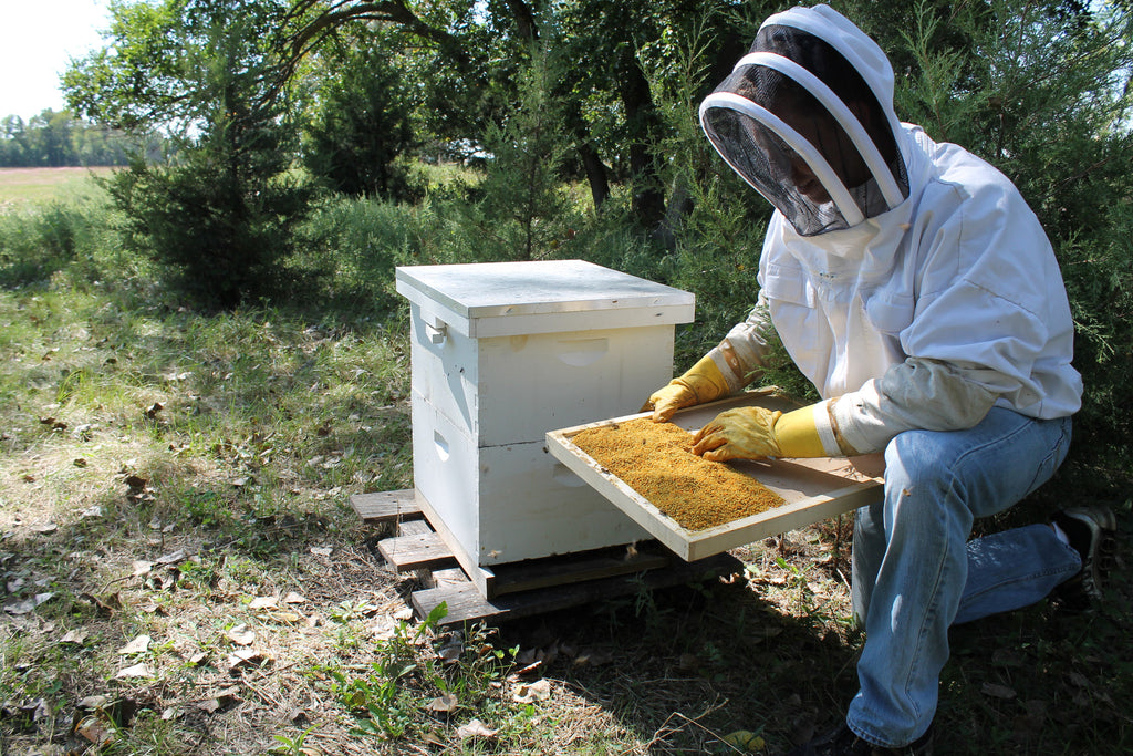 Pure Nebraska Beeswax (Six) 1 oz Blocks – Prairie River Honey Farm