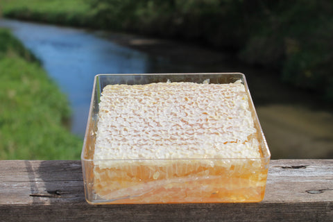 Raw Comb Honey Pure Natural Nebraska Honey (one) 16 oz Cut Comb