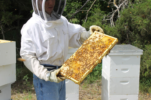 Raw Honey Pure Natural Nebraska Honey (one) 5lb Jug