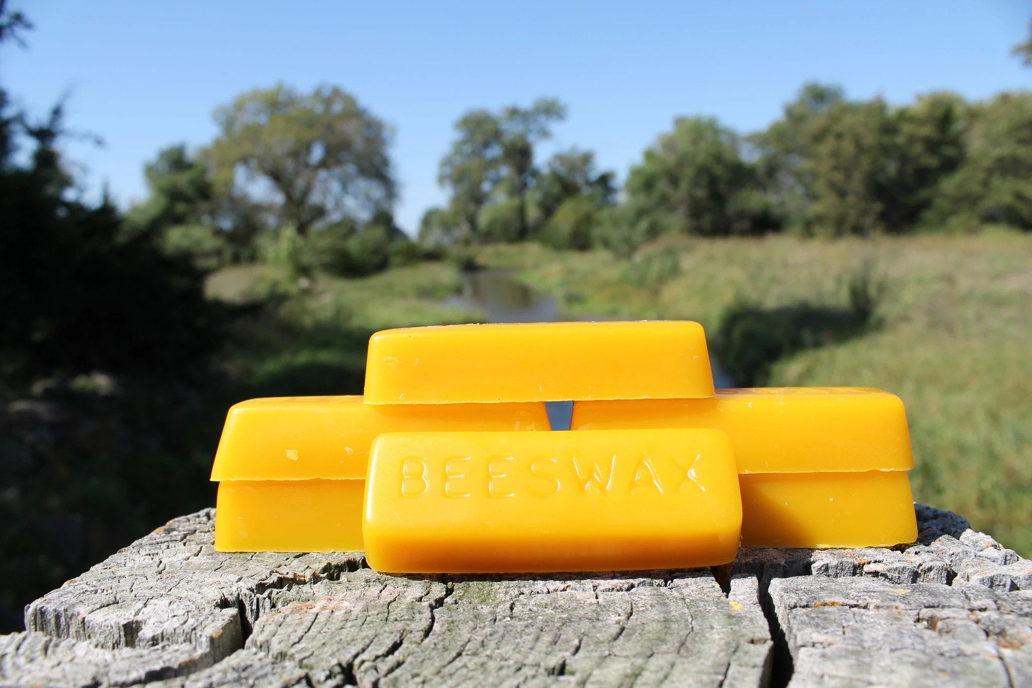 1 oz Beeswax Blocks Pure Nebraska Honey Bee Beeswax (Two Blocks) – Prairie  River Honey Farm
